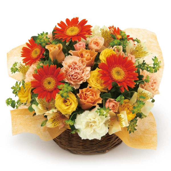 Yellow and Orange Arrangement
