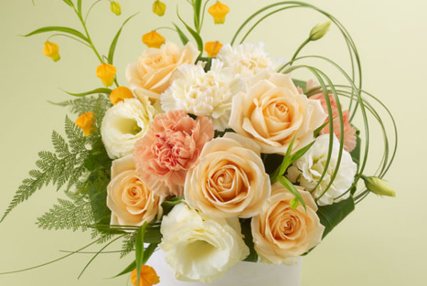 Bright Arrangement