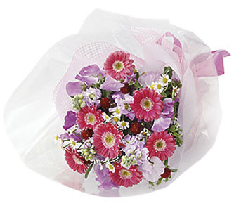 Seasonal Bouquet (red & pink)