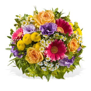 Tipo de Flor