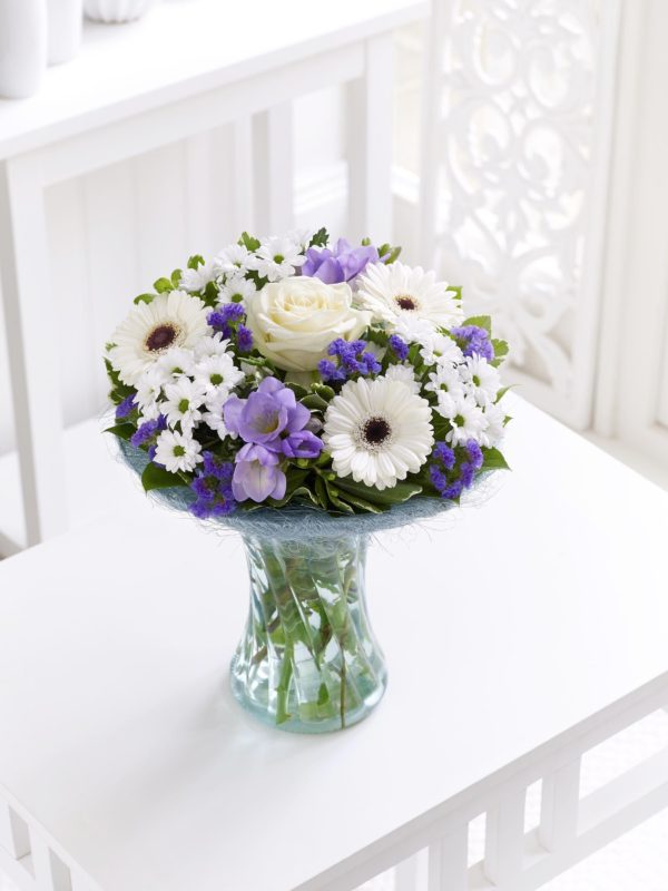 Regalo Perfecto Azul
