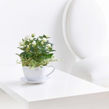 Rose Teacup