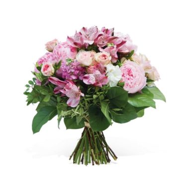 Flower Dream