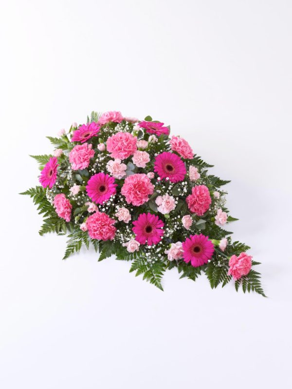 Carnation And Germini