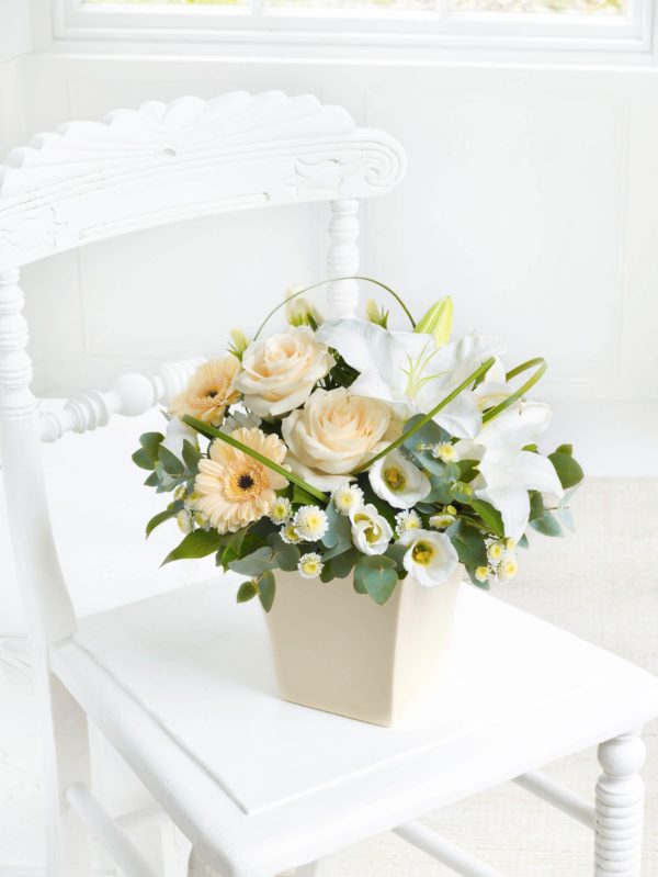 Cream Exquisite