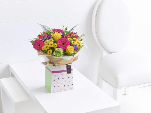 Vibrant Box Plus
