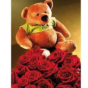 7 Red Roses & Bear