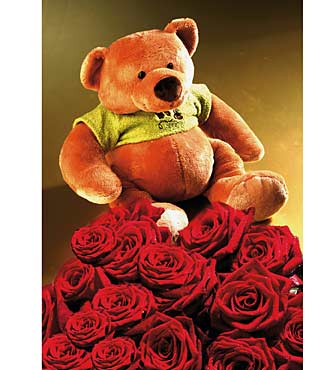 7 Red Roses & Bear