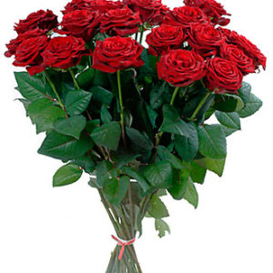 Vinous Roses -Classics
