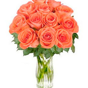 Orange Roses "Bliss"