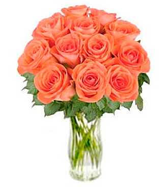 Orange Roses "Bliss"