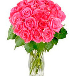 Pink Roses Rosy Reveries