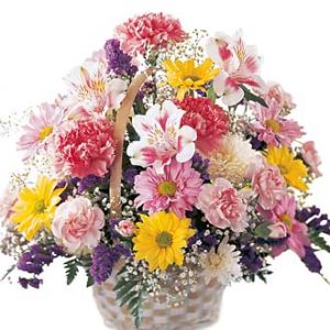 Basket of Cheer
