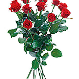 Bouquet of 12 Red Roses