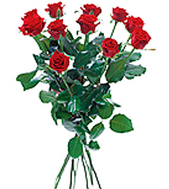 Bouquet of 12 Red Roses