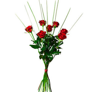 Bouquet of 7 Red Roses