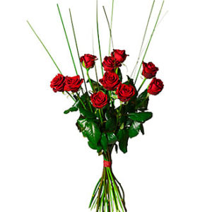 Bouquet of 10 Red Roses