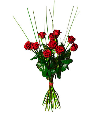 Bouquet of 10 Red Roses