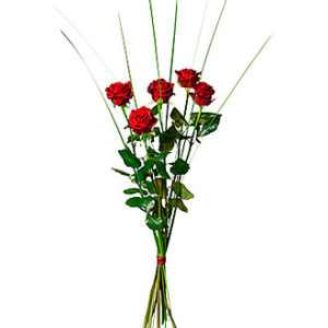 Bouquet of 5 Red Roses