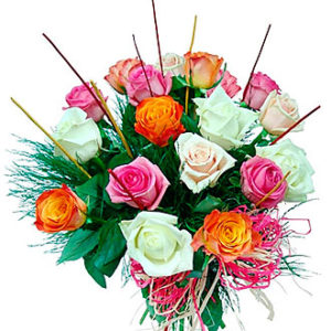 18 Colorful Roses