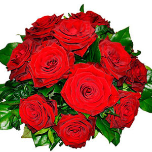 Tantalizing 12 Roses