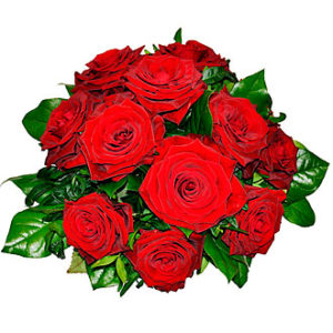 Tantalizing 12 Roses