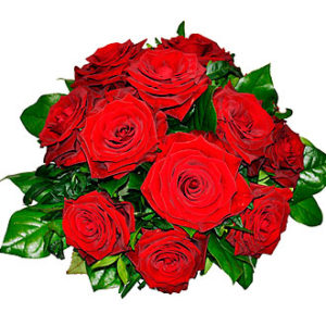 Tantalizing 12 Roses