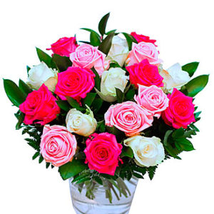 A Dream of Roses