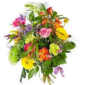 Radiant and bright exclus