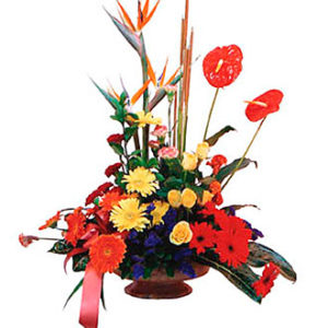 Arrangement of Mixed Colo
