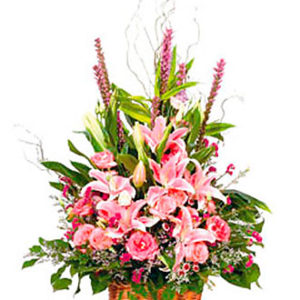 Arrangement of Cut Flower