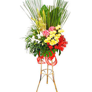 Standing Arrangement