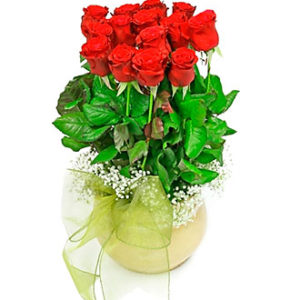 Magic Love Flowers