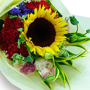 Seasonal Mixed Cut Flower