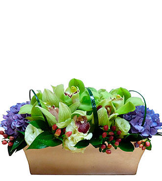 Arrangement in Container