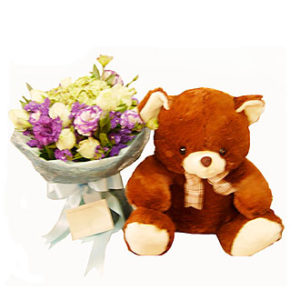 Lovely Brown Bear