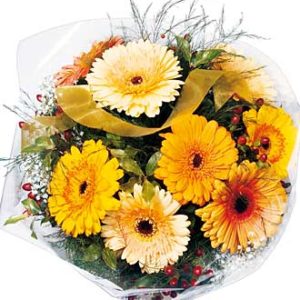 Mixed Gerbera Bunch