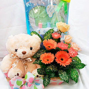 Baby Basket