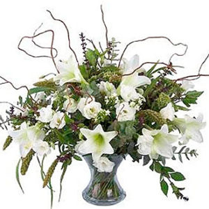 White Festive Beauty
