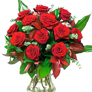 Roses Red Velvet No Vase