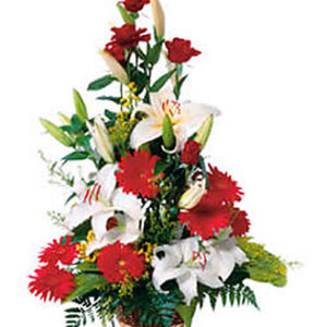 High Argmnt of Cut Flower