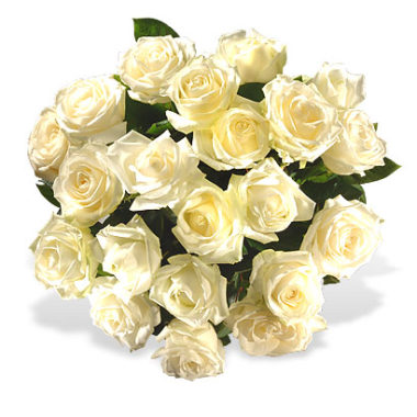 White Roses