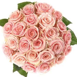 Bouquet of 25 Roses
