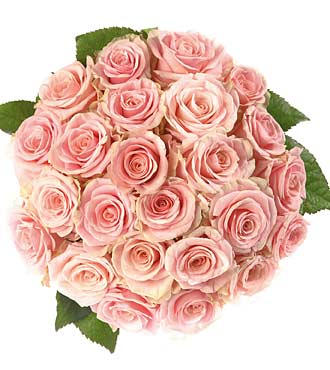 Bouquet of 25 Roses