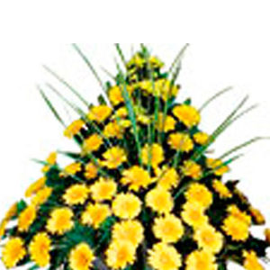 Funeral Spray