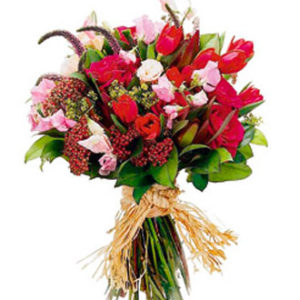 Mixed Cut Flowers