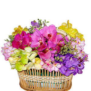 Colorful Basket w/Orchids