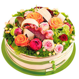 Perroquet