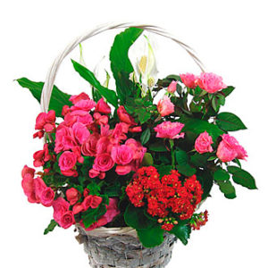Happy Basket Composition