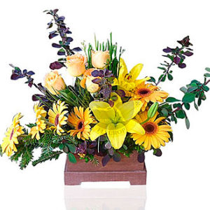 Arrangement of Cut Flower